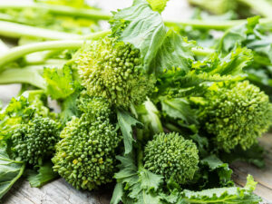Cima di rapa