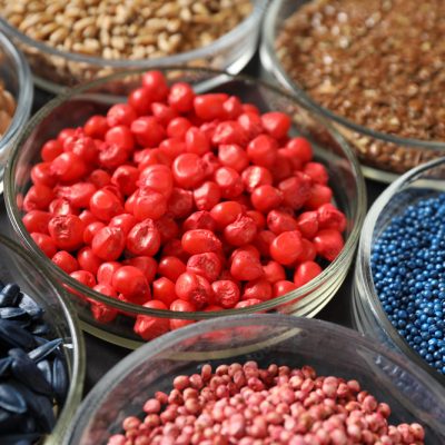 AdobeStock_294558507_Preview