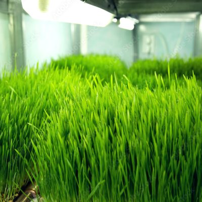 AdobeStock_426435612_Preview